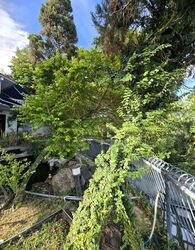 Siglap Road (D15), Detached #602237401